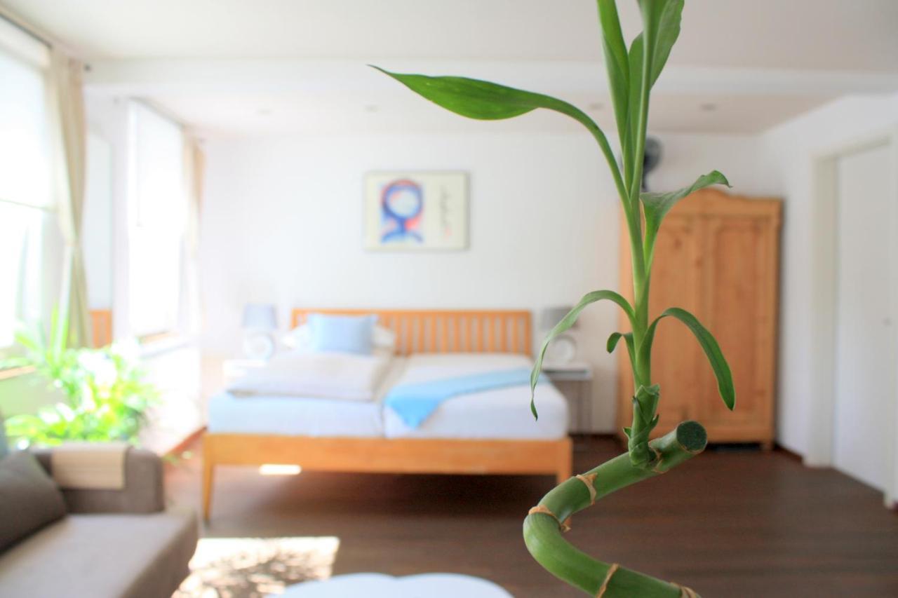 D & S Hotel & Ferienwohnungen 베시그하임 외부 사진
